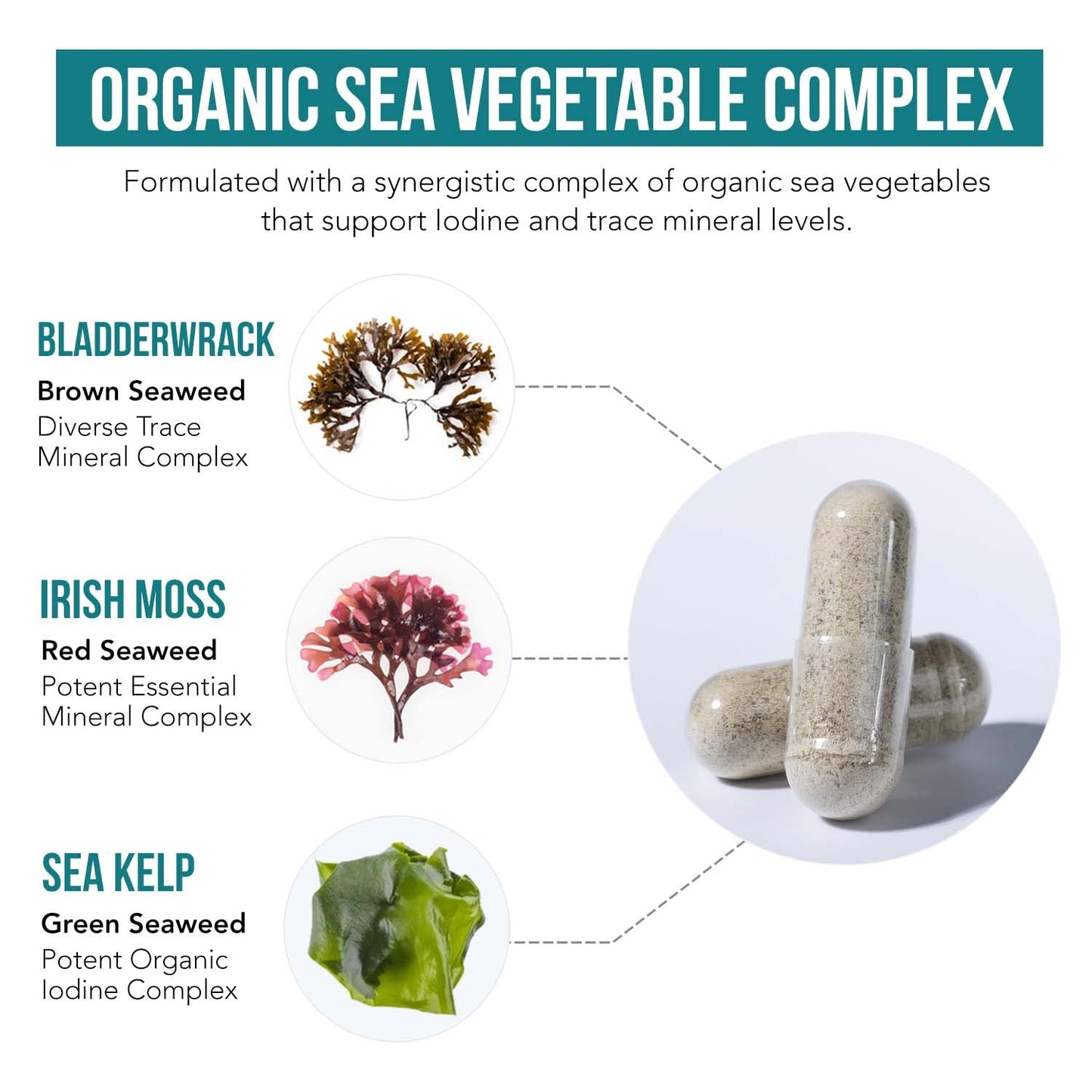 Organic Iodine Supplement from Sea Vegetables – Whole Food & Raw (250 mcg)