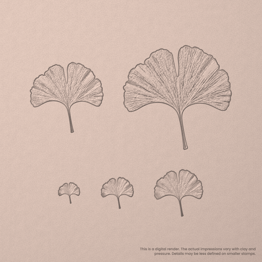 Ginko Leaf Stamps - Photo Textured