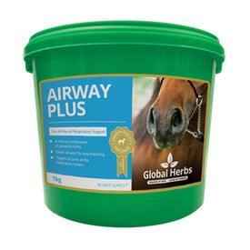 Global H Airway Plus