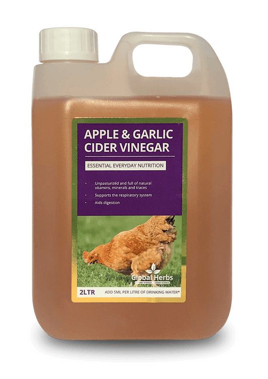 Global H Apple & Garlic Cider Vinegar(C)