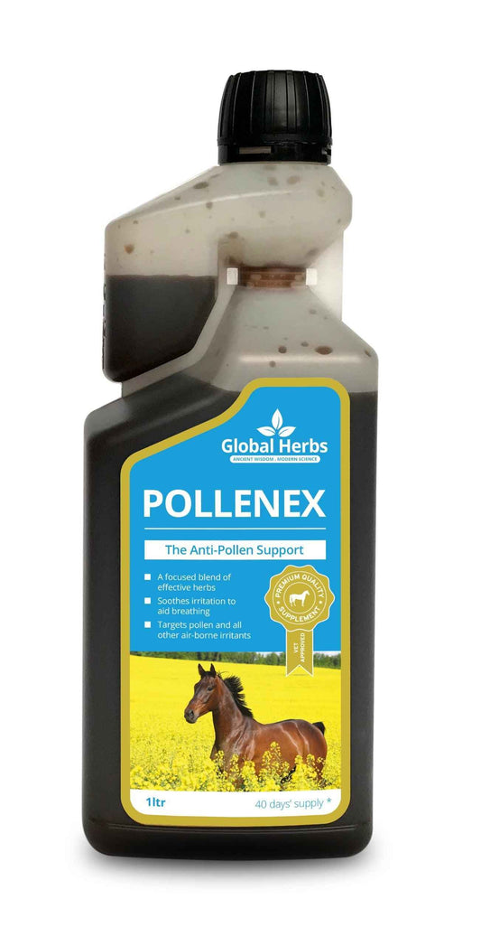 Global H Pollene X Syrup
