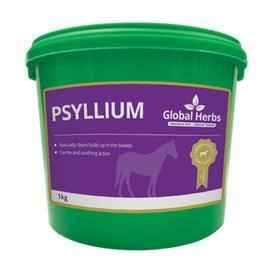 Global H Psyllium