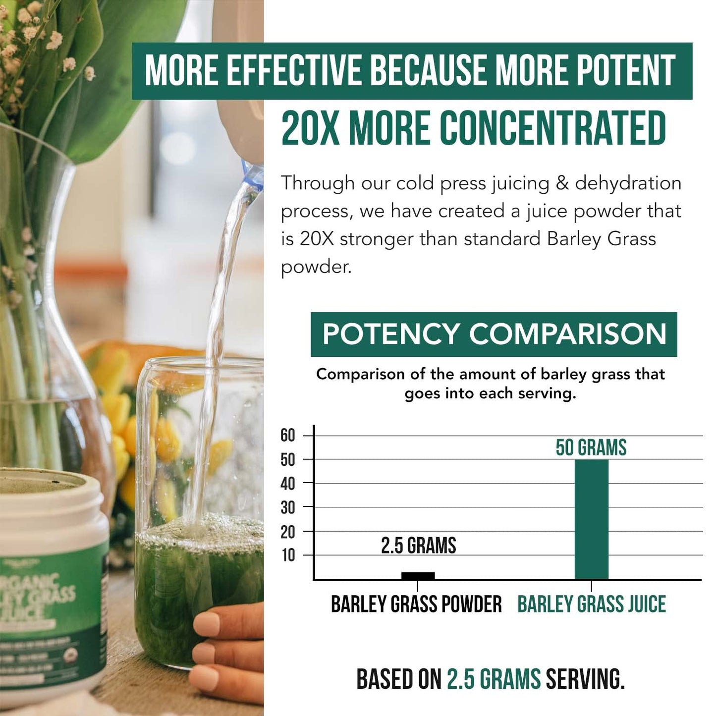Organic Barley Grass Juice Powder – Utah Volcanic Soil, Raw & BioActive, Cold-Pressed CO2 Dried, Gluten Free, GMO Free, Vegan – 5.3 oz