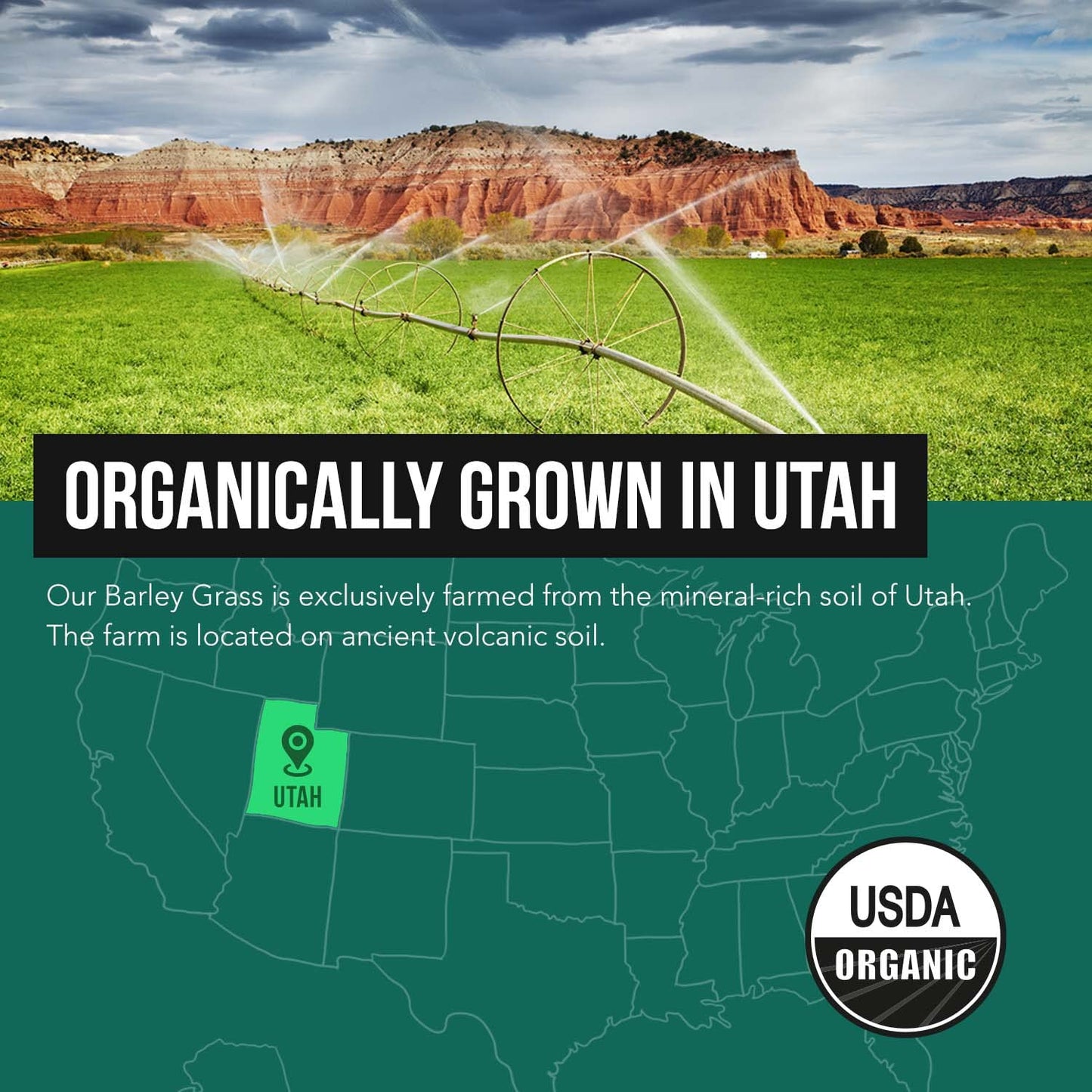 Organic Barley Grass Juice Powder – Utah Volcanic Soil, Raw & BioActive, Cold-Pressed CO2 Dried, Gluten Free, GMO Free, Vegan – 5.3 oz