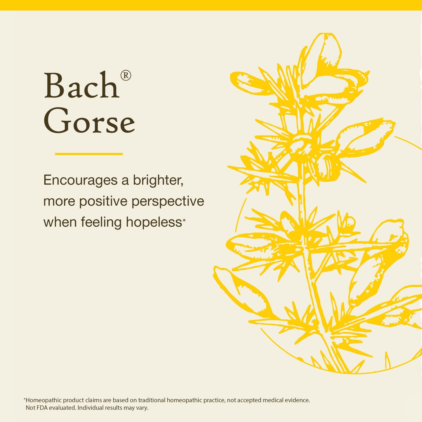 Bach Original Flower Remedies – Gorse (Have Hope) – Emotional Balance, 20mL Dropper – Vegan, Gluten Free, Sugar Free