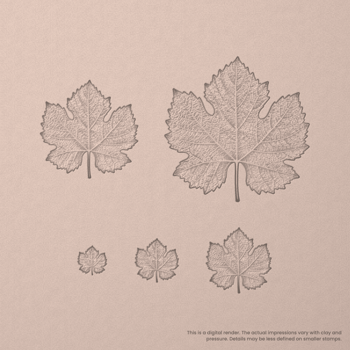 Grape Vine Leaf Stamps - Photo Textured