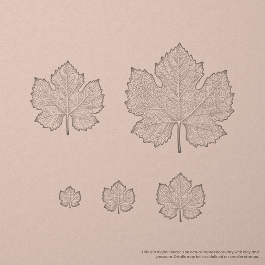 Grape Vine Leaf Stamps - Photo Textured