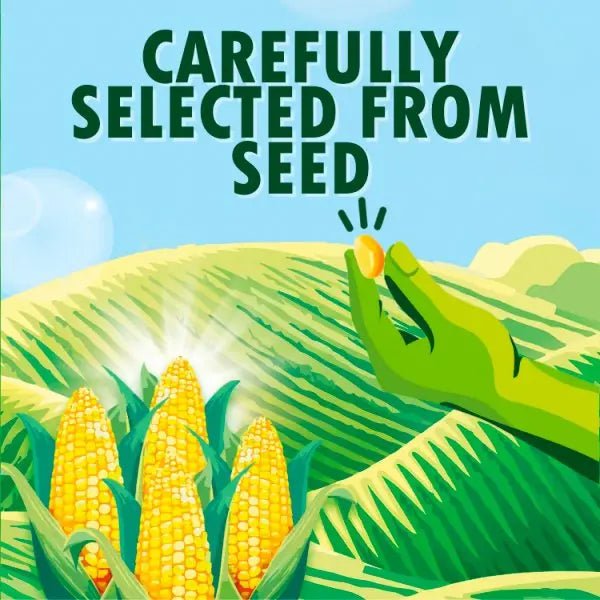Green Giant Original 340g (Case of 12)