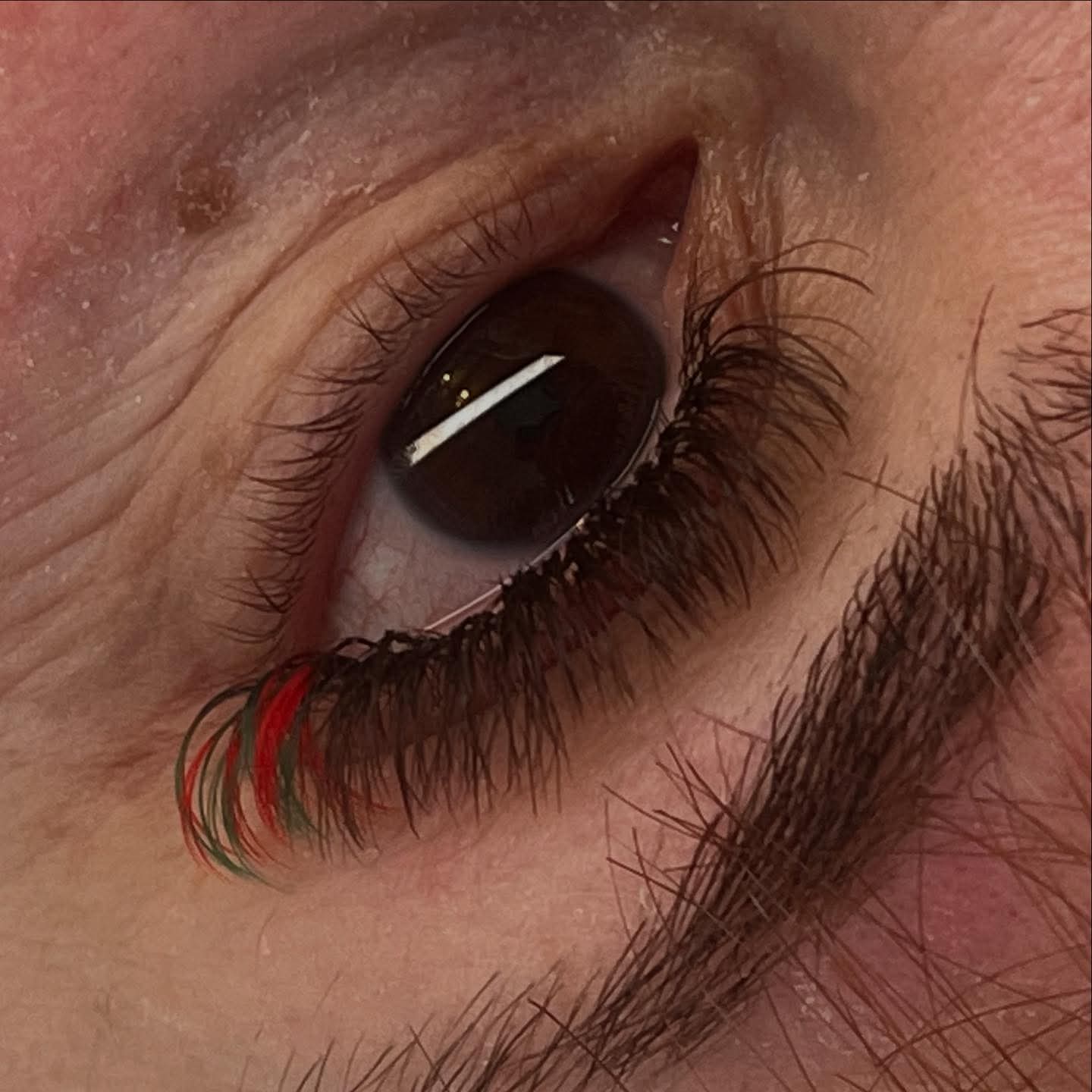 Colour Volume Lashes