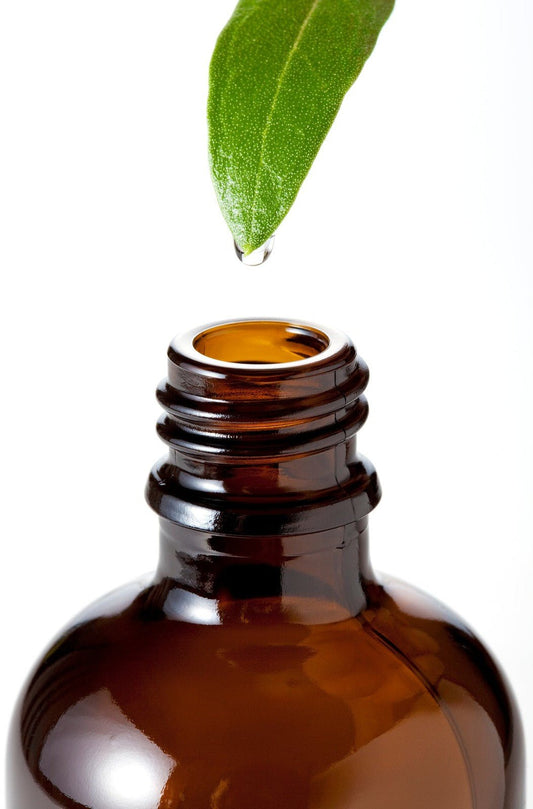 Handmade Lemon Geranium & Tea Tree Shampoo - SLS & Paraben Free - 250ml - Nouri