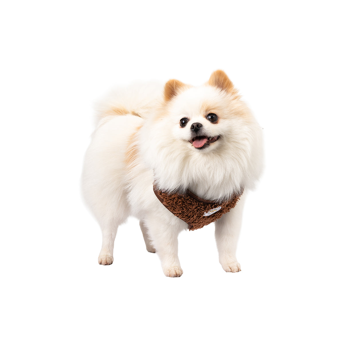 Cocoa Bean | Carnaby Harness