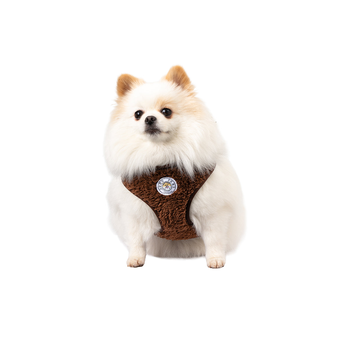 Cocoa Bean | Carnaby Harness