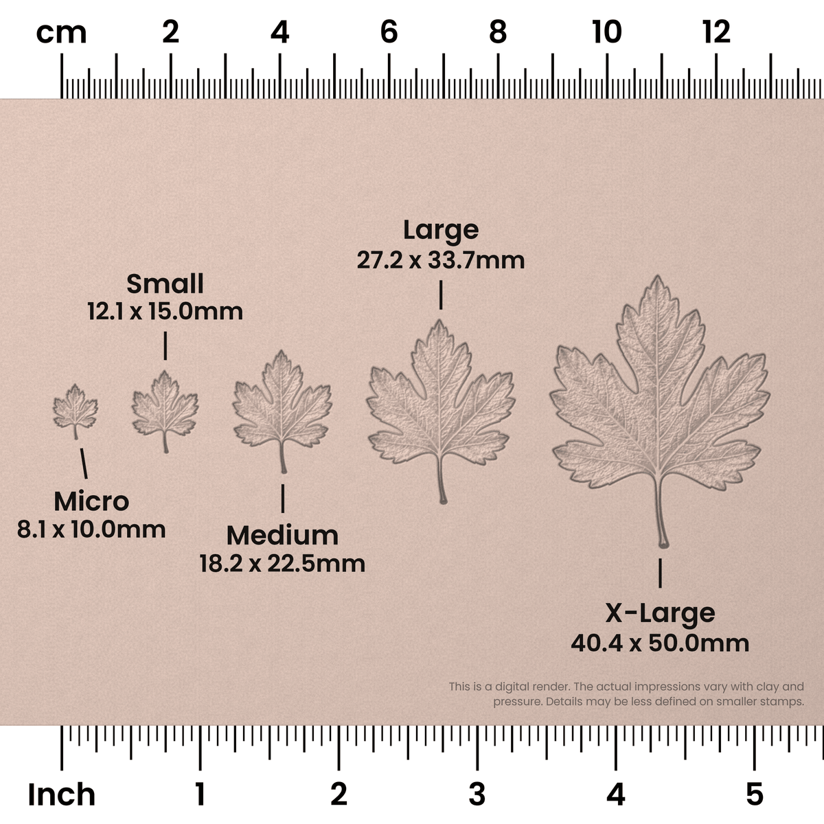 Hawthorn Leaf Stamps - Photo Textured