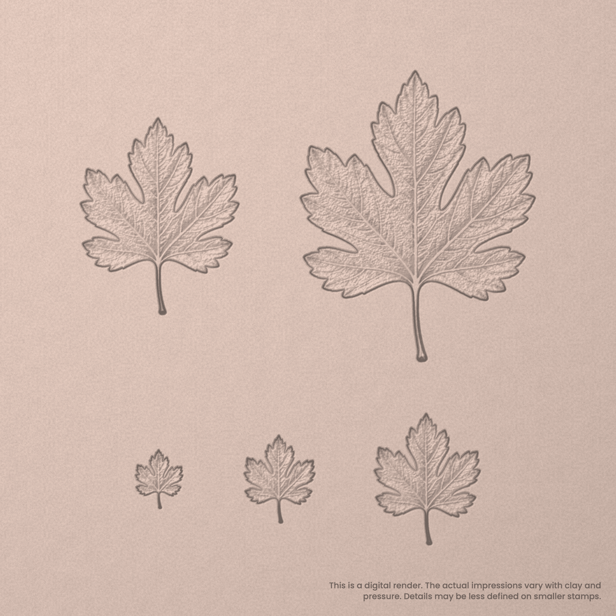 Hawthorn Leaf Stamps - Photo Textured