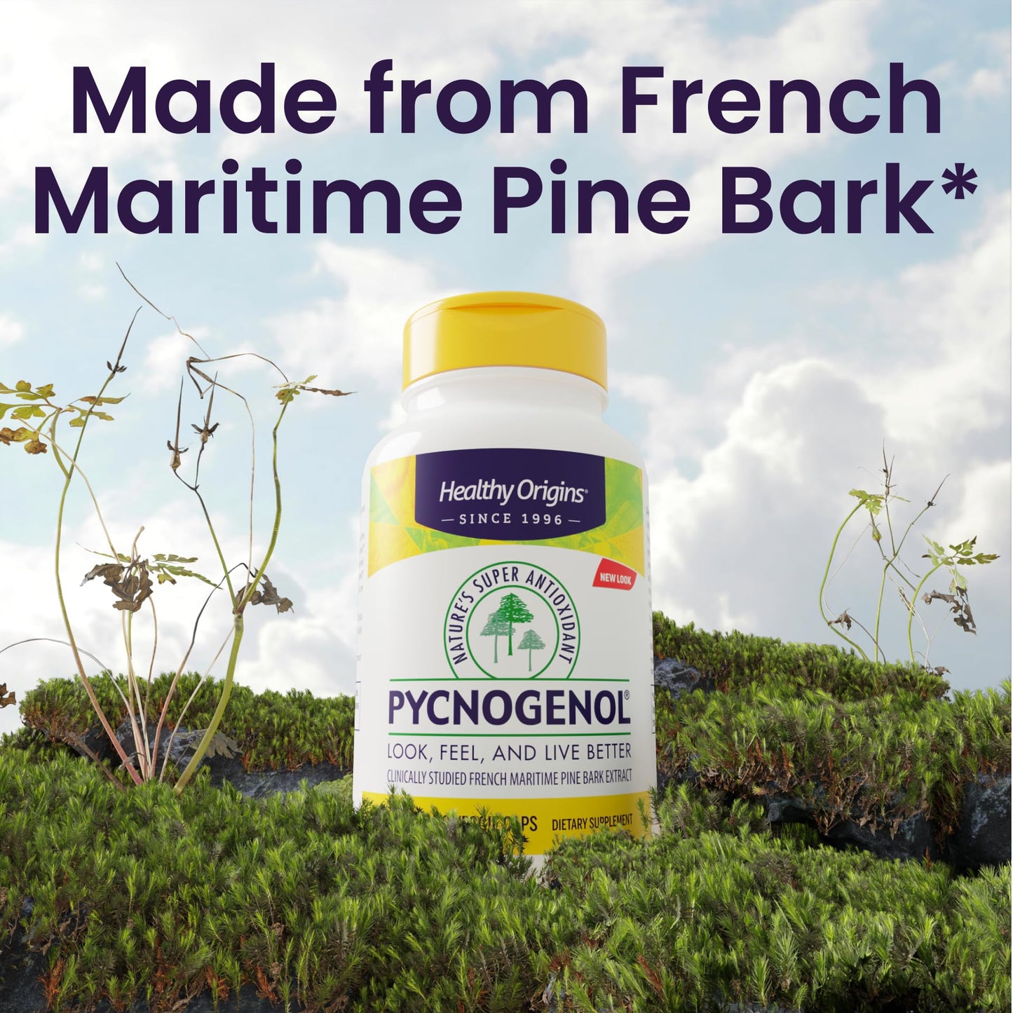 Healthy Origins Pycnogenol 150 mg – French Maritime Pine Bark Extract, Non-GMO, Vegan, 60 Veggie Capsules