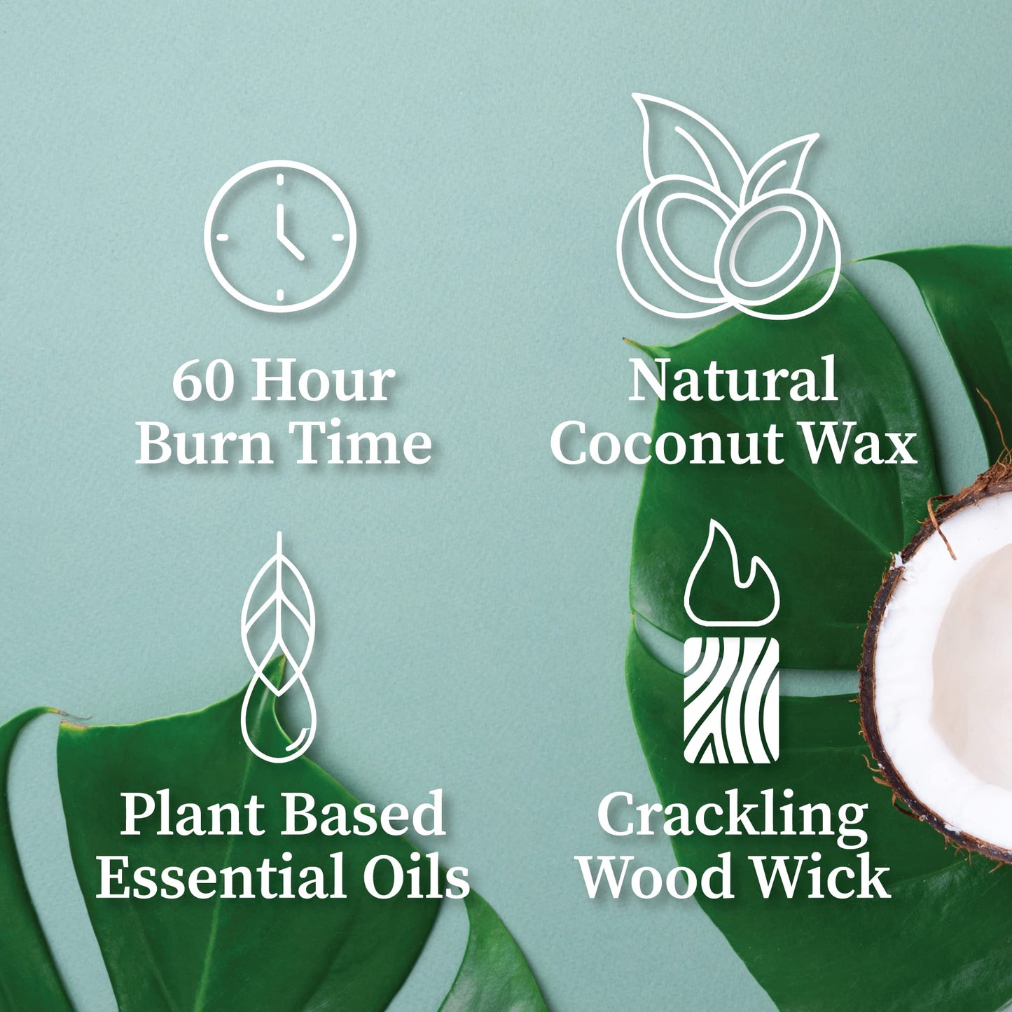 Hemlock Park Crackling Wood Wick Candle – Handcrafted Coconut Wax (8 oz, Palo Santo)