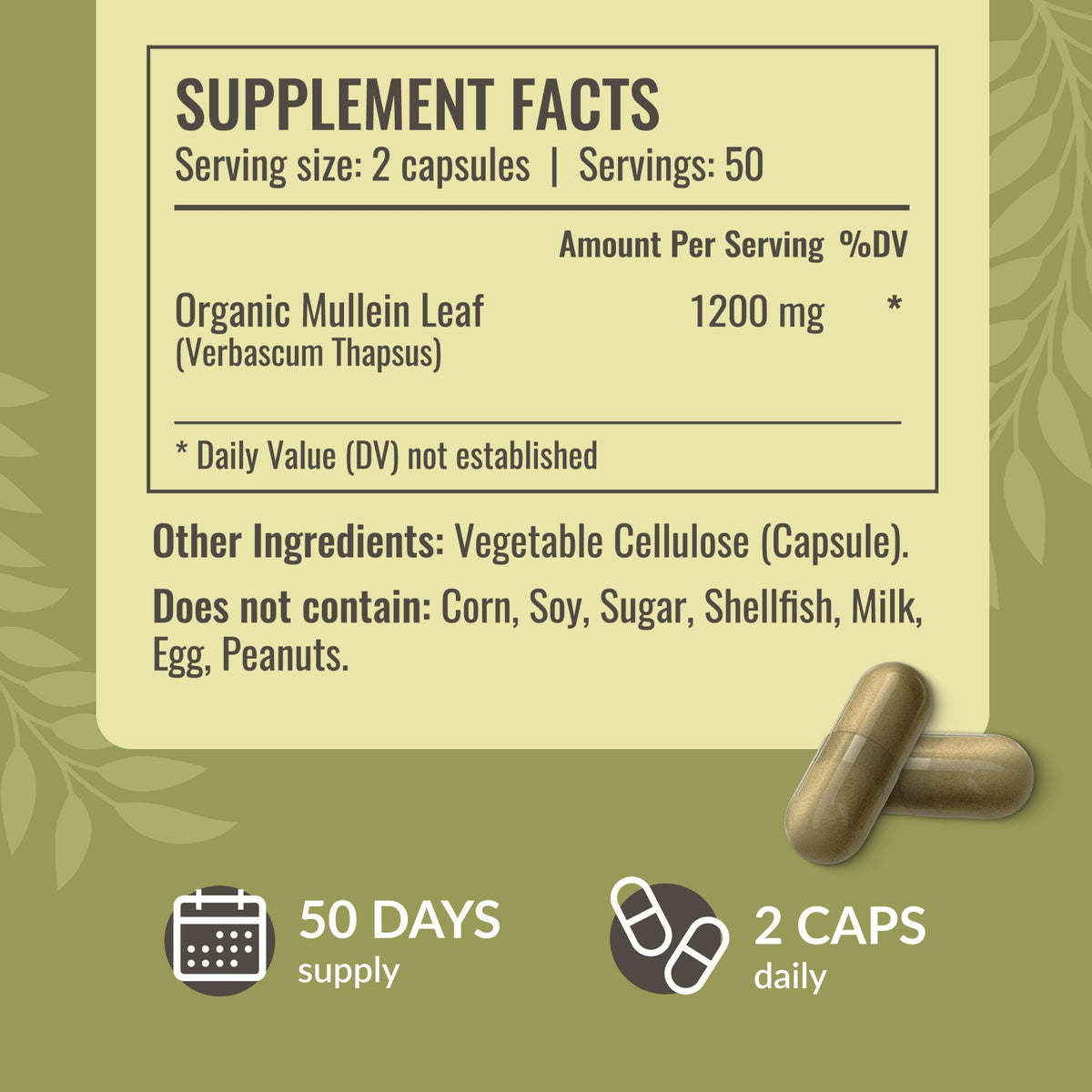 HERBAMAMA Mullein Leaf Capsules - 1200mg Lung Detox Support | Vegan & Non-GMO | Pack of 2