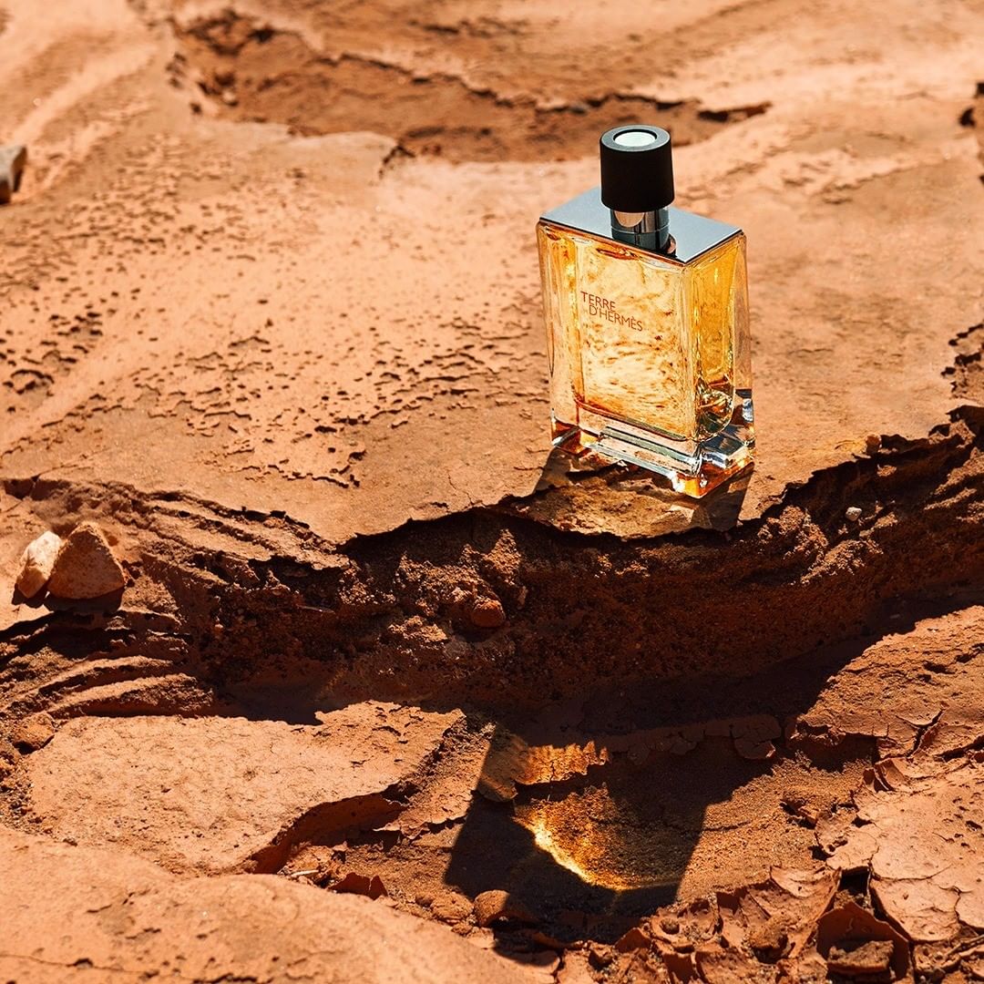 Hermes Terre d'Hermes Eau de Toilette 50ml Spray