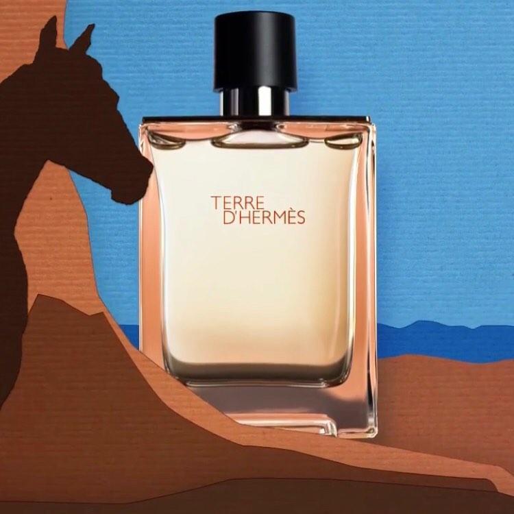 Hermes Terre d'Hermes Eau de Toilette 100ml Spray