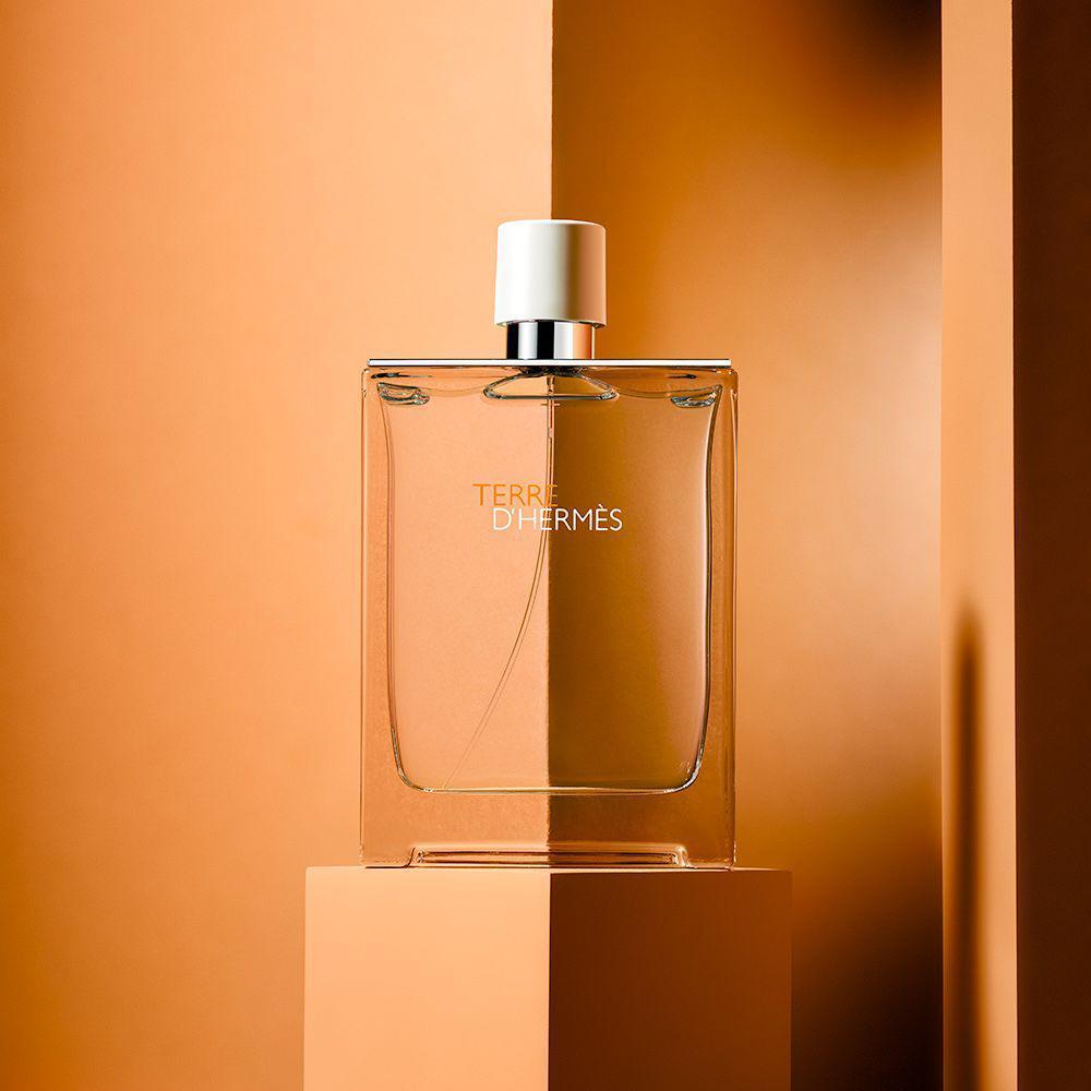 Hermes Terre d'Hermes Eau de Toilette 100ml Spray