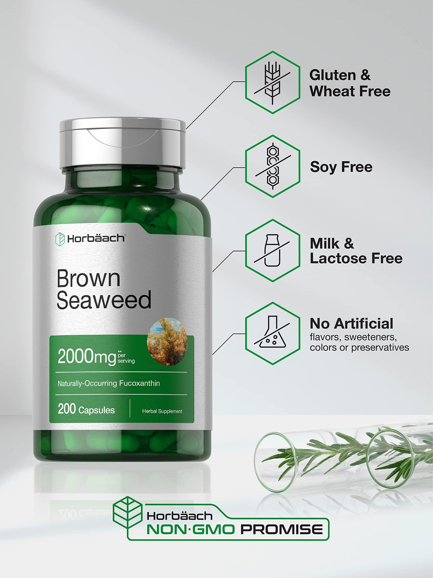 Horbäach Brown Seaweed Extract Capsules 2000mg – 200 Pills | Fucoxanthin, Non-GMO, Gluten Free
