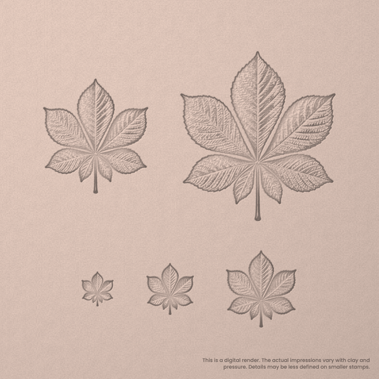 Horse Chestnut Leaf Stamps - Photo Textured