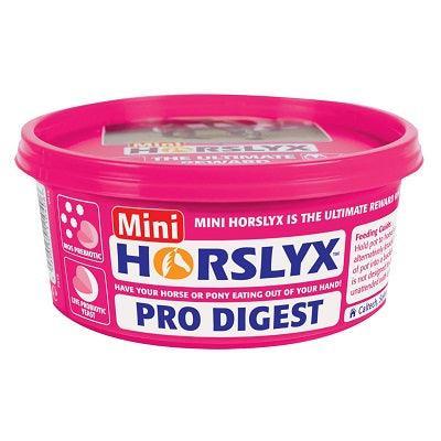 Horslyx Minilick Pro Digest Balancer Lick 650g - Case of 12