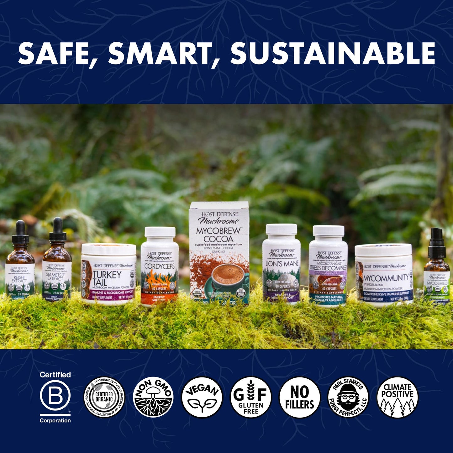 Host Defense Lion's Mane – Brain Health & Focus Support (60 Capsules)