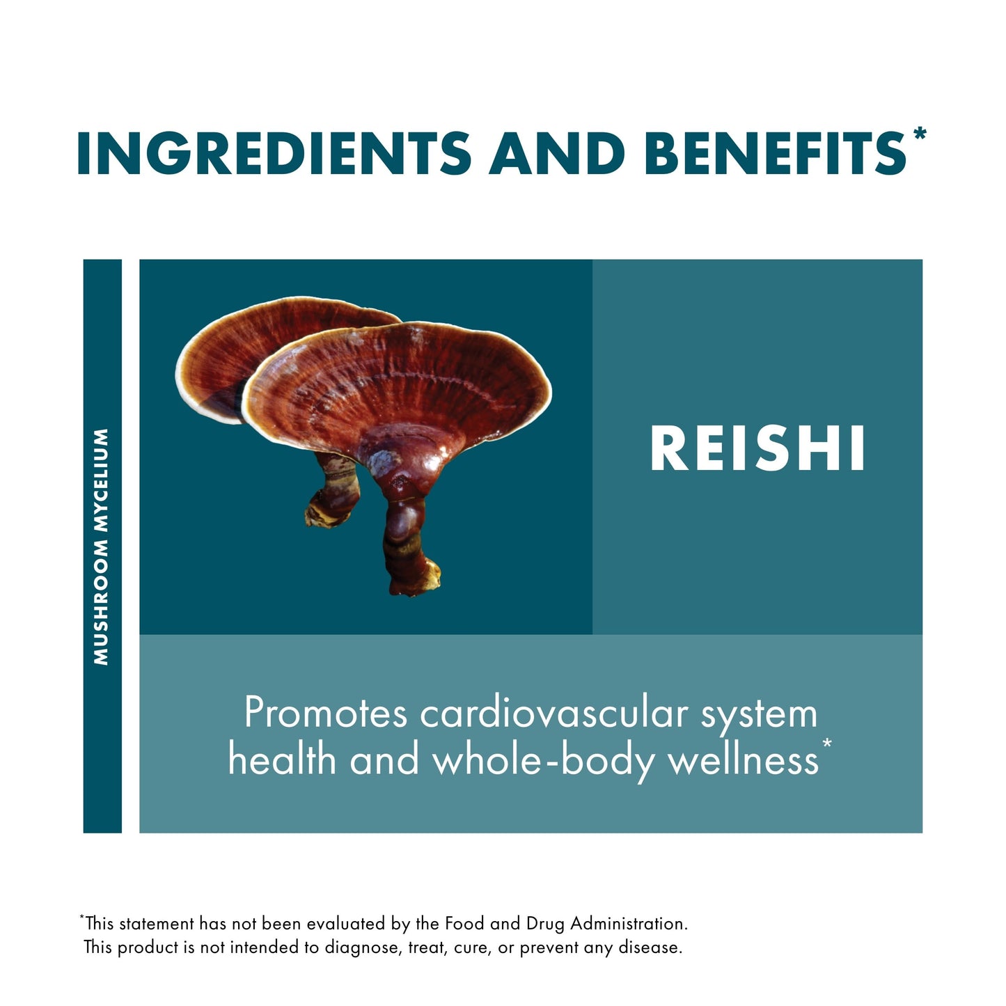 Host Defense Reishi Powder - Immune & Heart Health Support - 3.5 oz (66 Servings)*