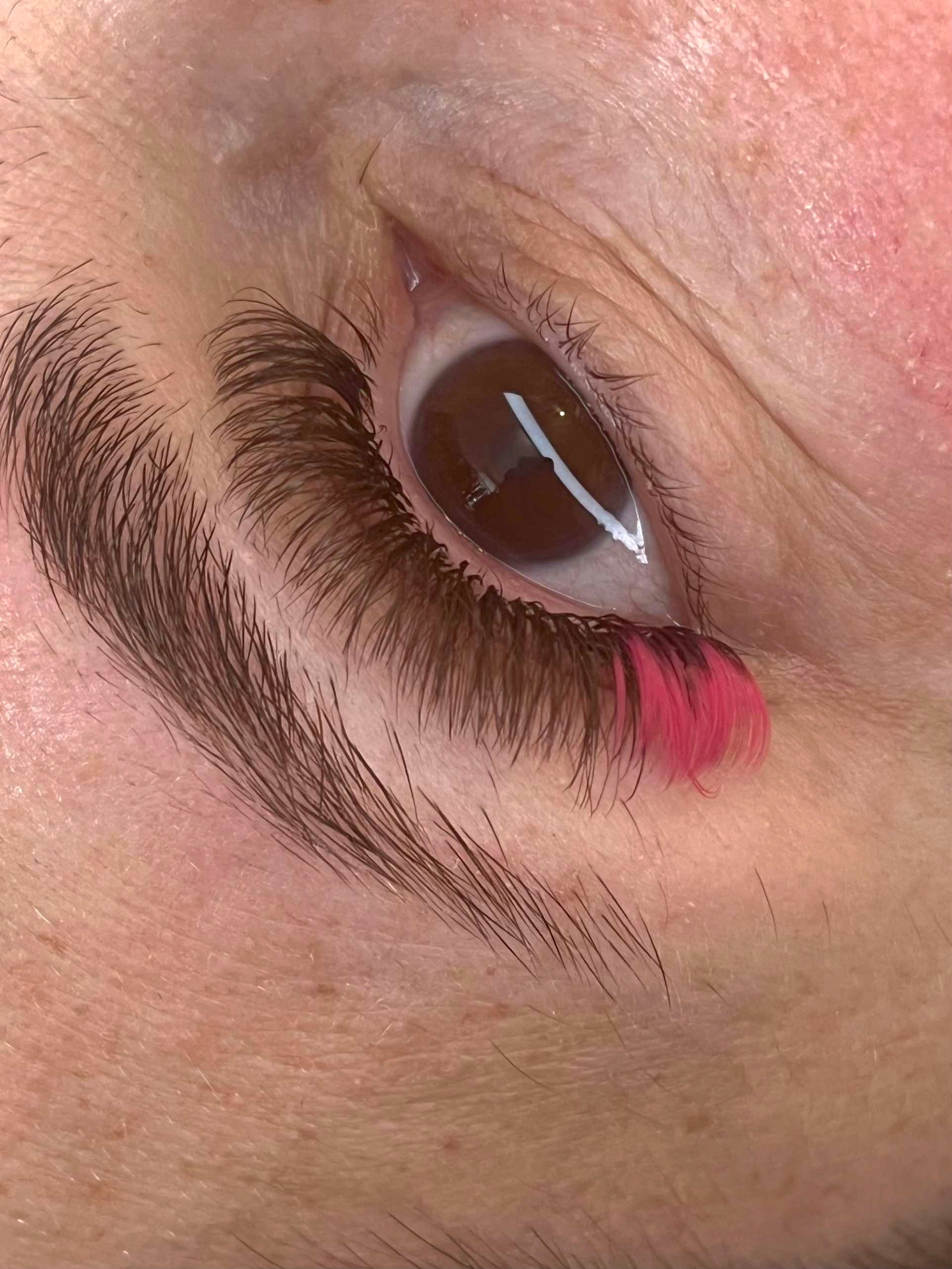 Colour Volume Lashes