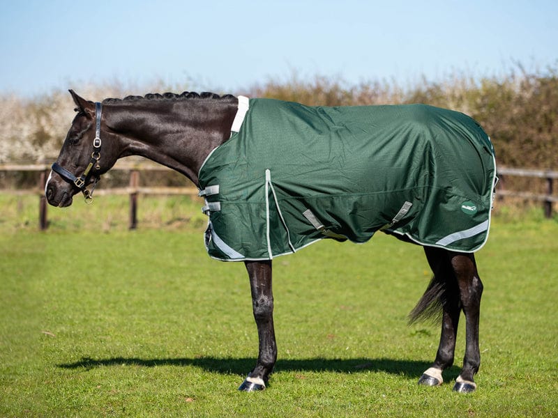 200g Detachable Neck Turnout Rug - Hunter Green