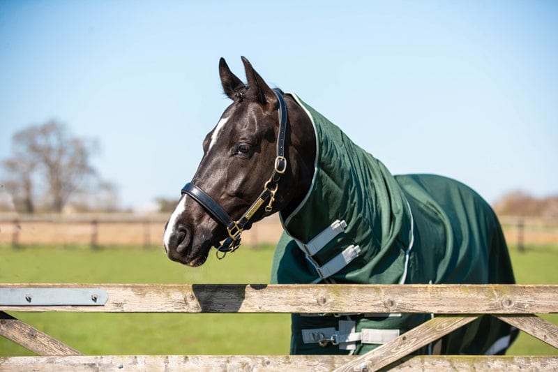 300g Detachable Neck Turnout Rug - Hunter Green