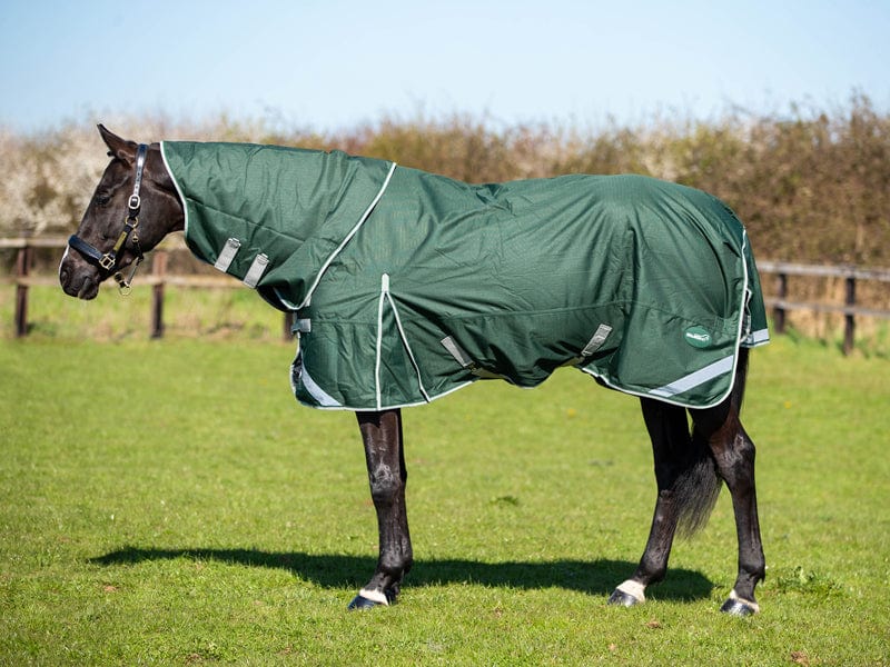 50g Detachable Neck Turnout Rug - Hunter Green