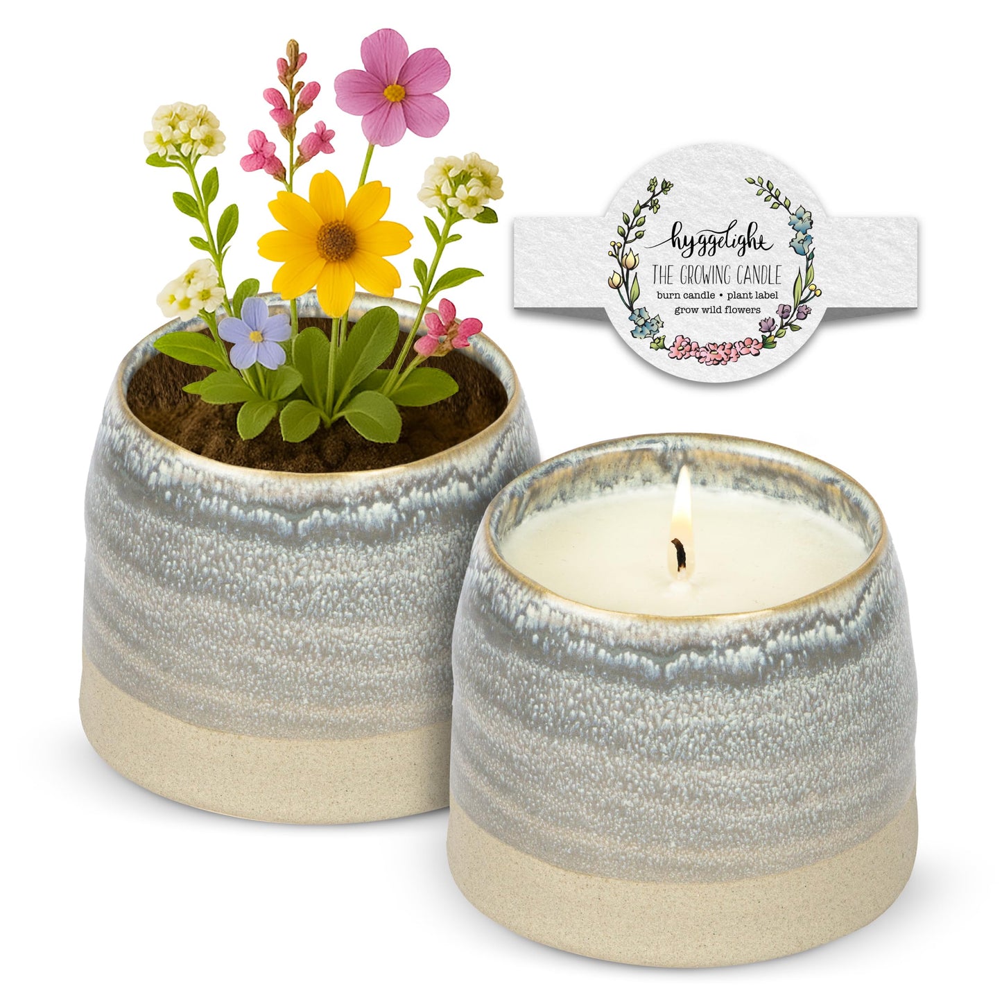 Hyggelight Greta Growing Candle – Apple & Pine, 10oz Soy, Ceramic Pot