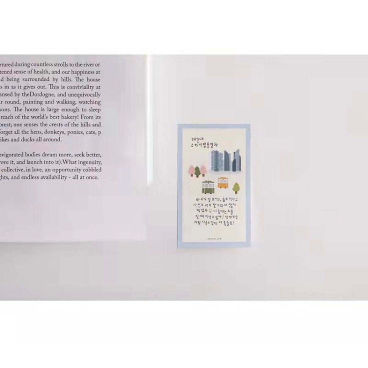 Suatelier | Travel in Busan