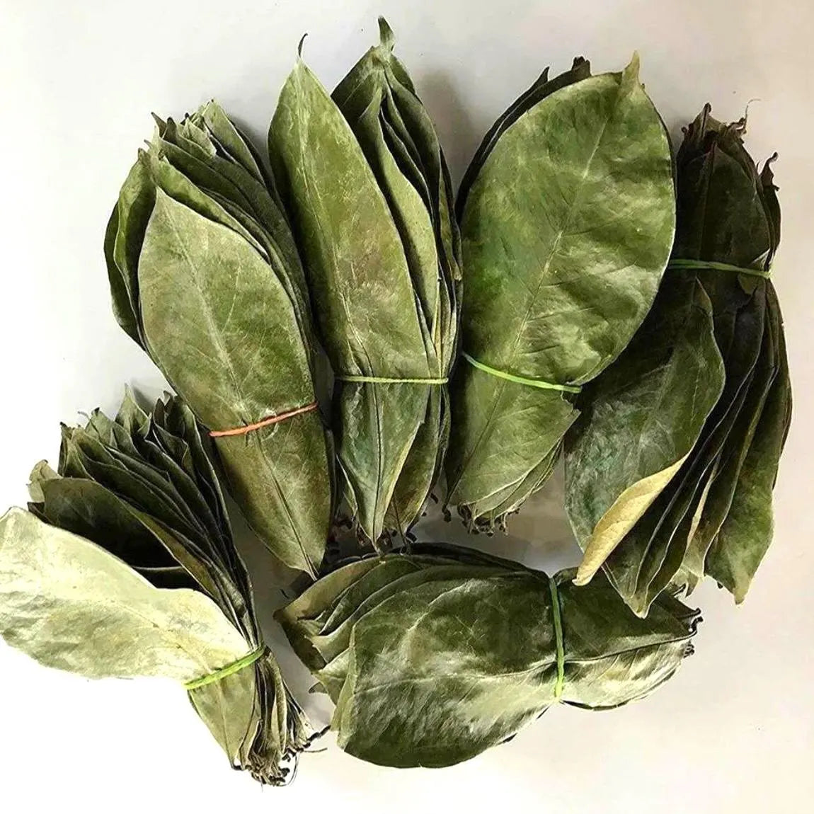 Wild Soursop Leaves – 100% Natural Graviola | Sun-Dried Herbal Tea