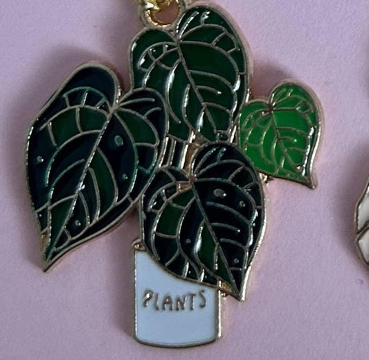 Houseplant Keyring's