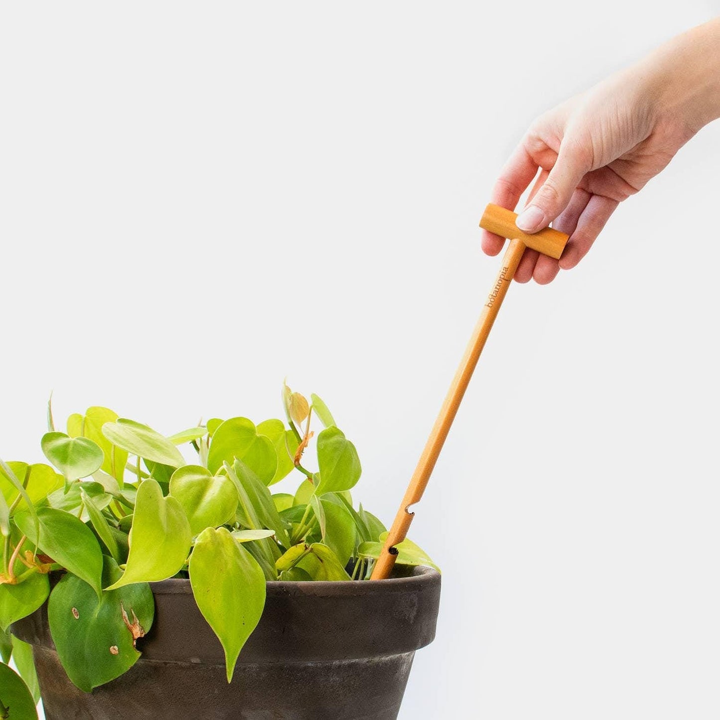 The Soil Checker - wooden soil probe to check soil moisture