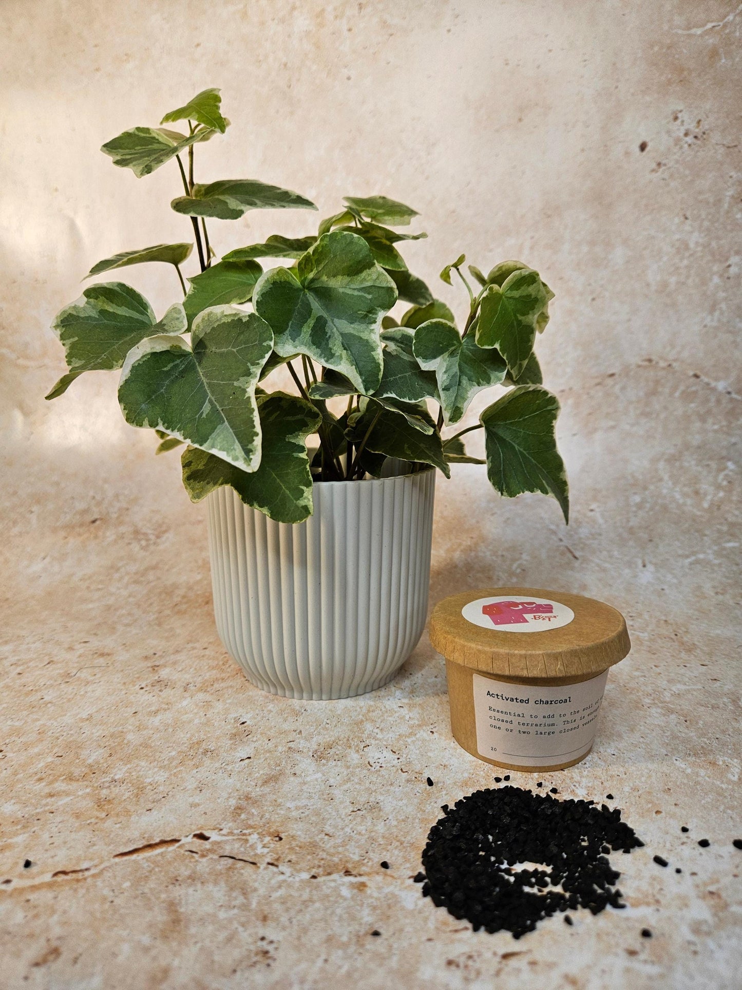 Activated Charcoal