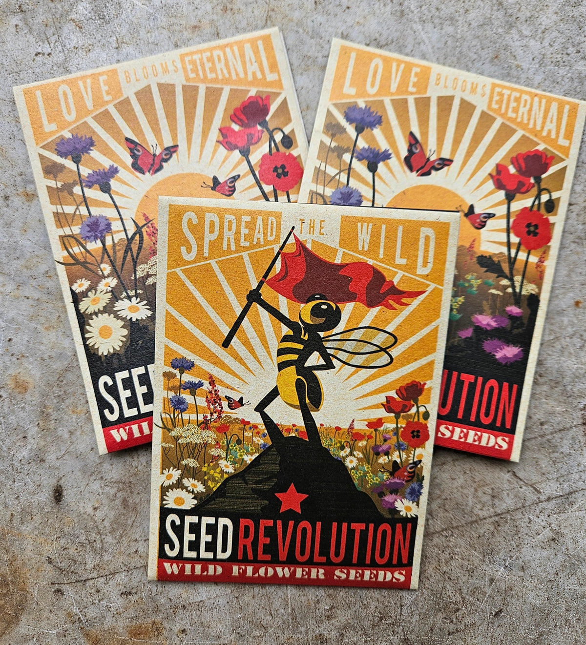 Wild Flower Seeds - Seed Revolution