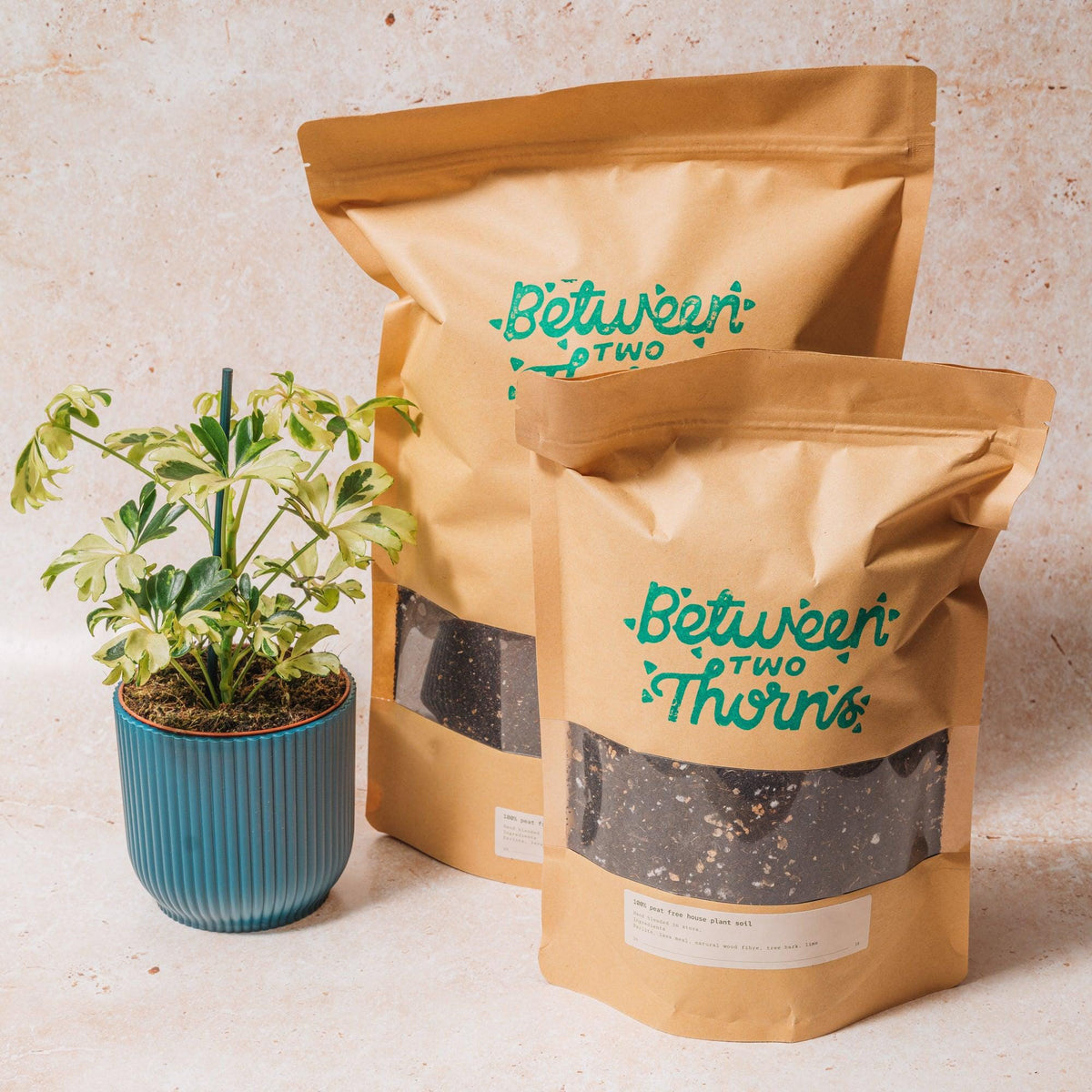 Peat-free Houseplant Soil with Substrates