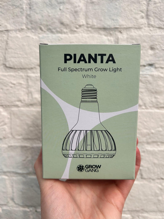 Pianta Grow Gang - Full Spectrum Screw Plant Light
