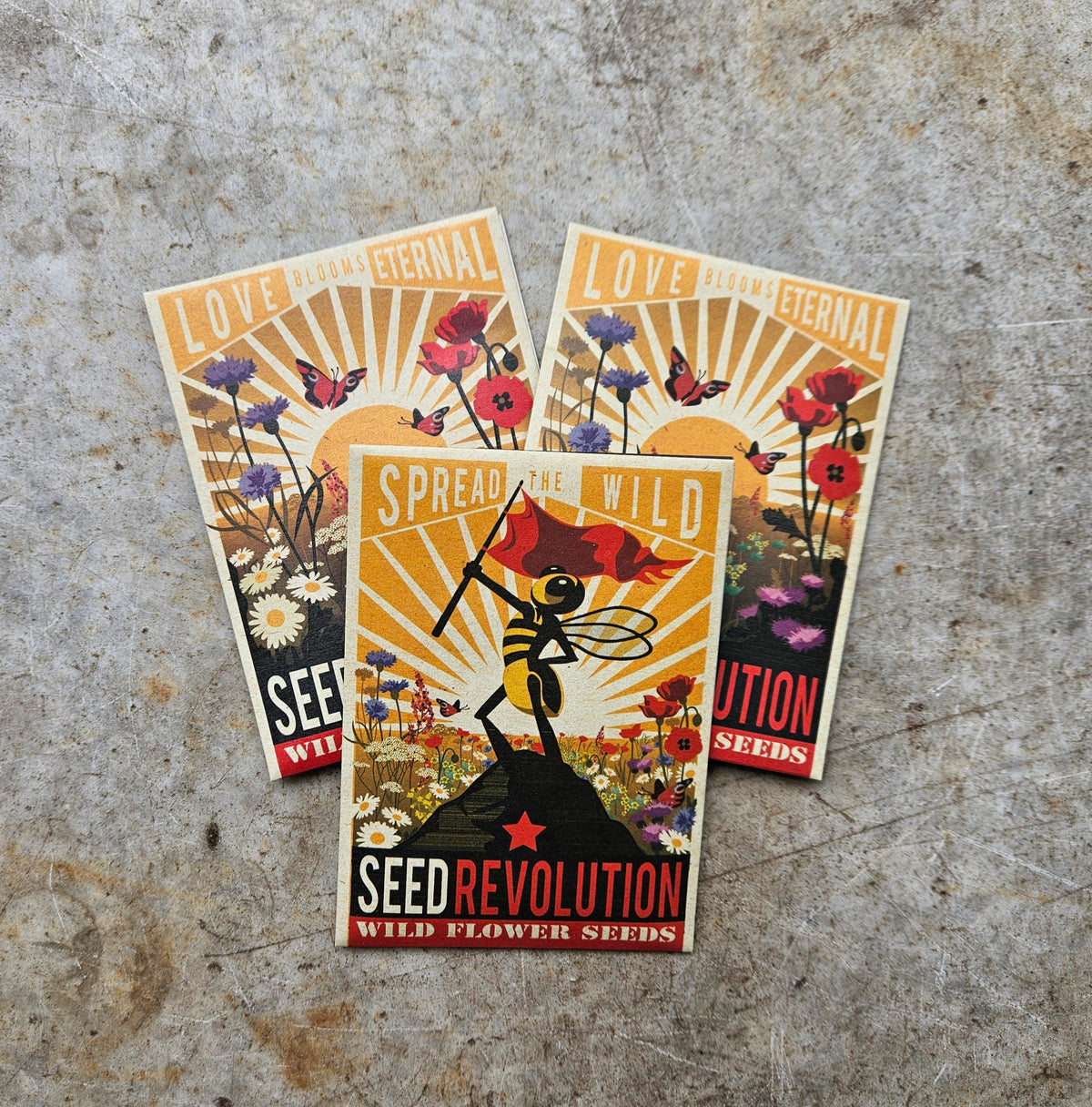Wild Flower Seeds - Seed Revolution