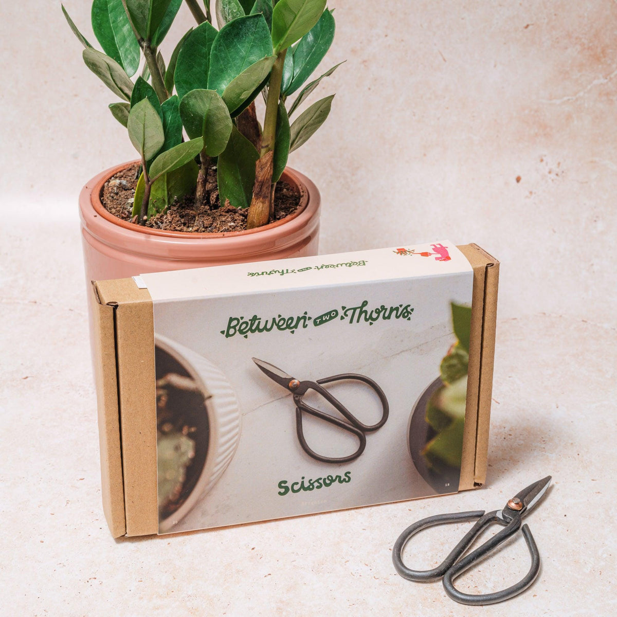 Pruning Scissors