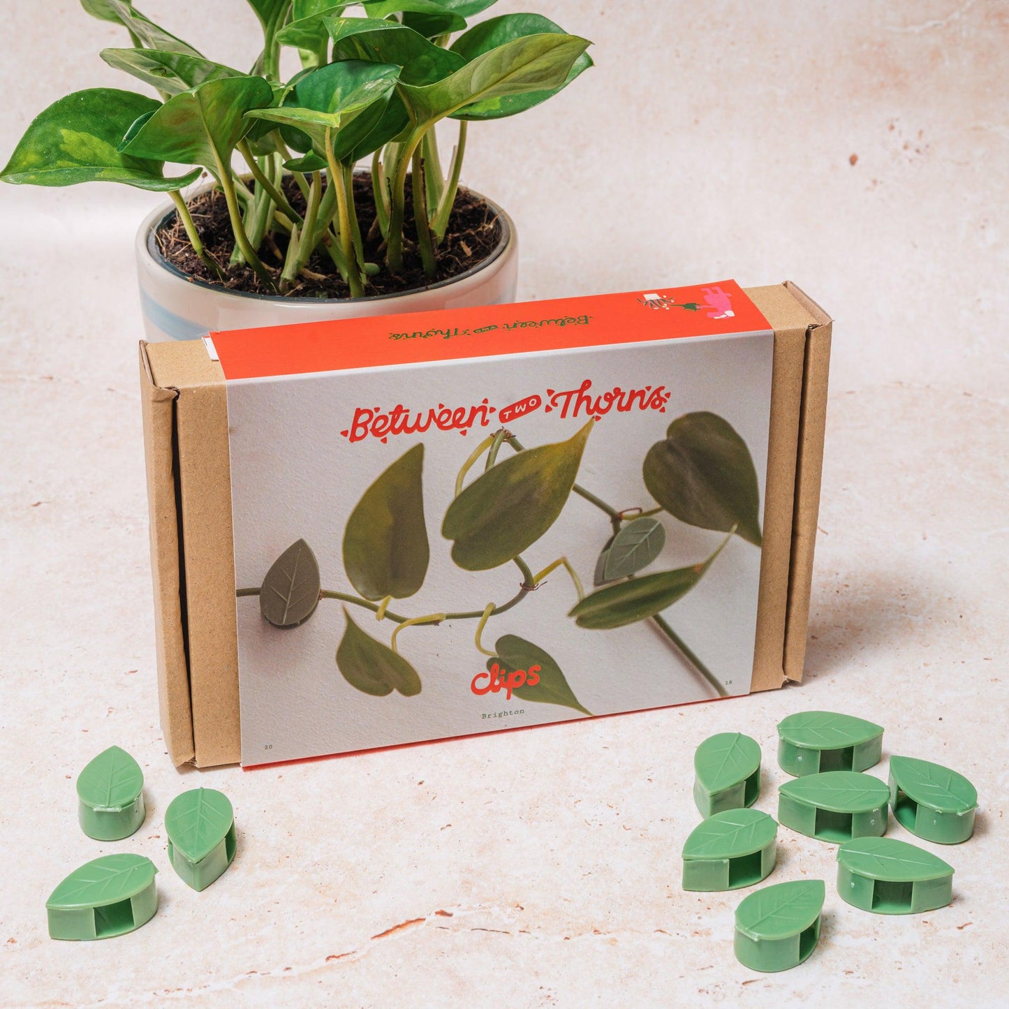 Plant Wall clips