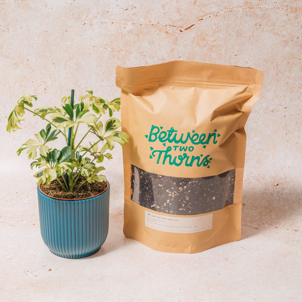 Peat-free Houseplant Soil with Substrates