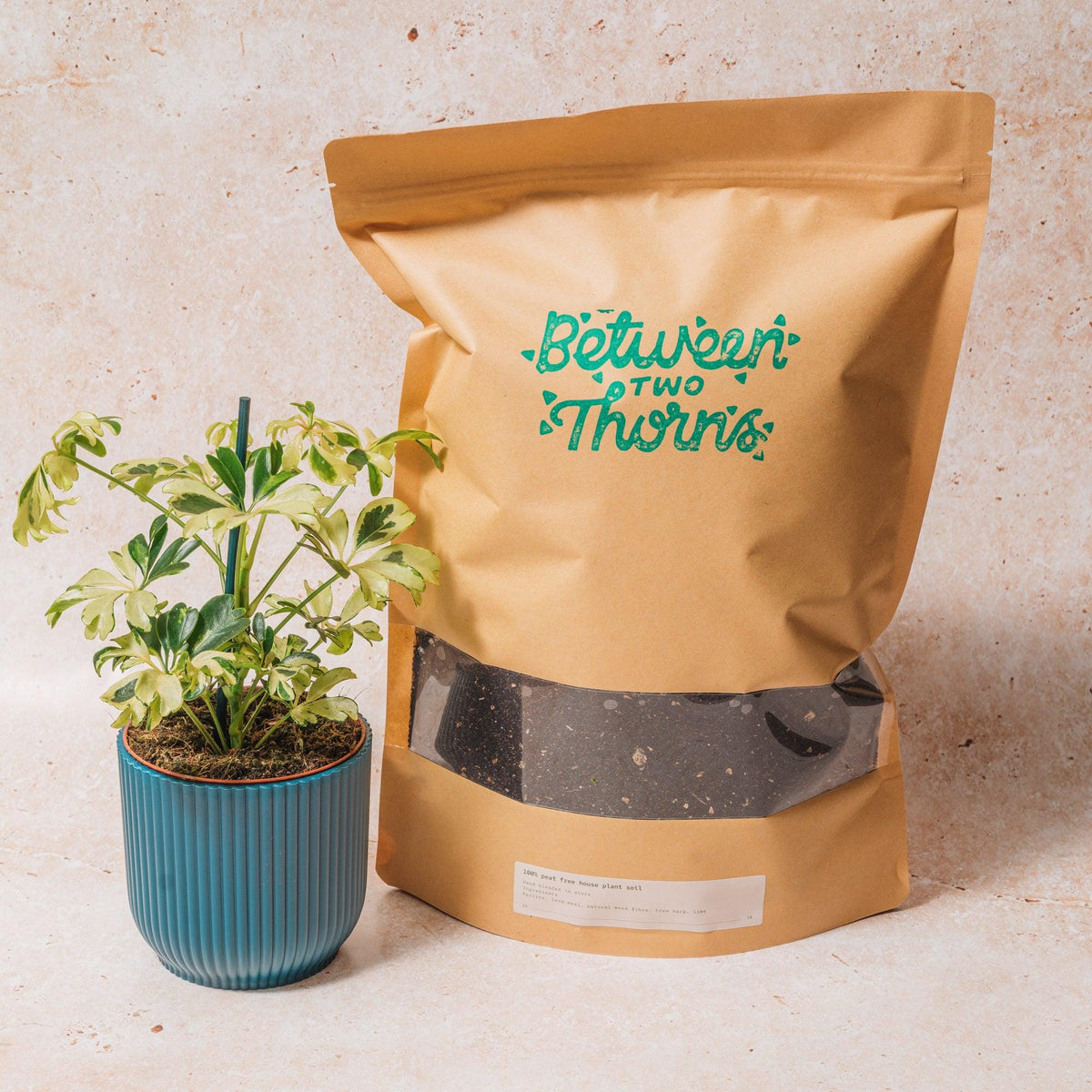 Peat-free Houseplant Soil with Substrates