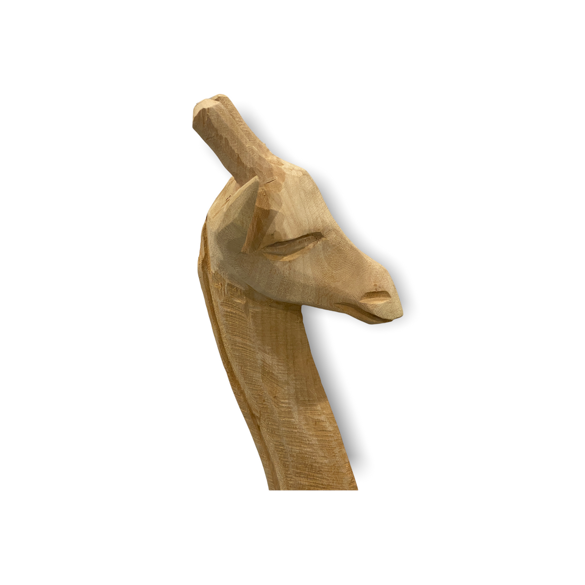 Swazi Giraffe - L