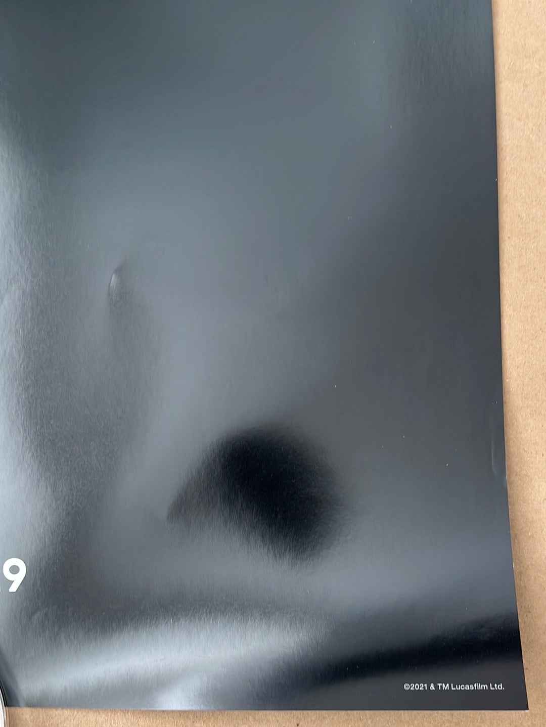 The Book Of Boba Fest (2021) Original US One Sheet TV Poster