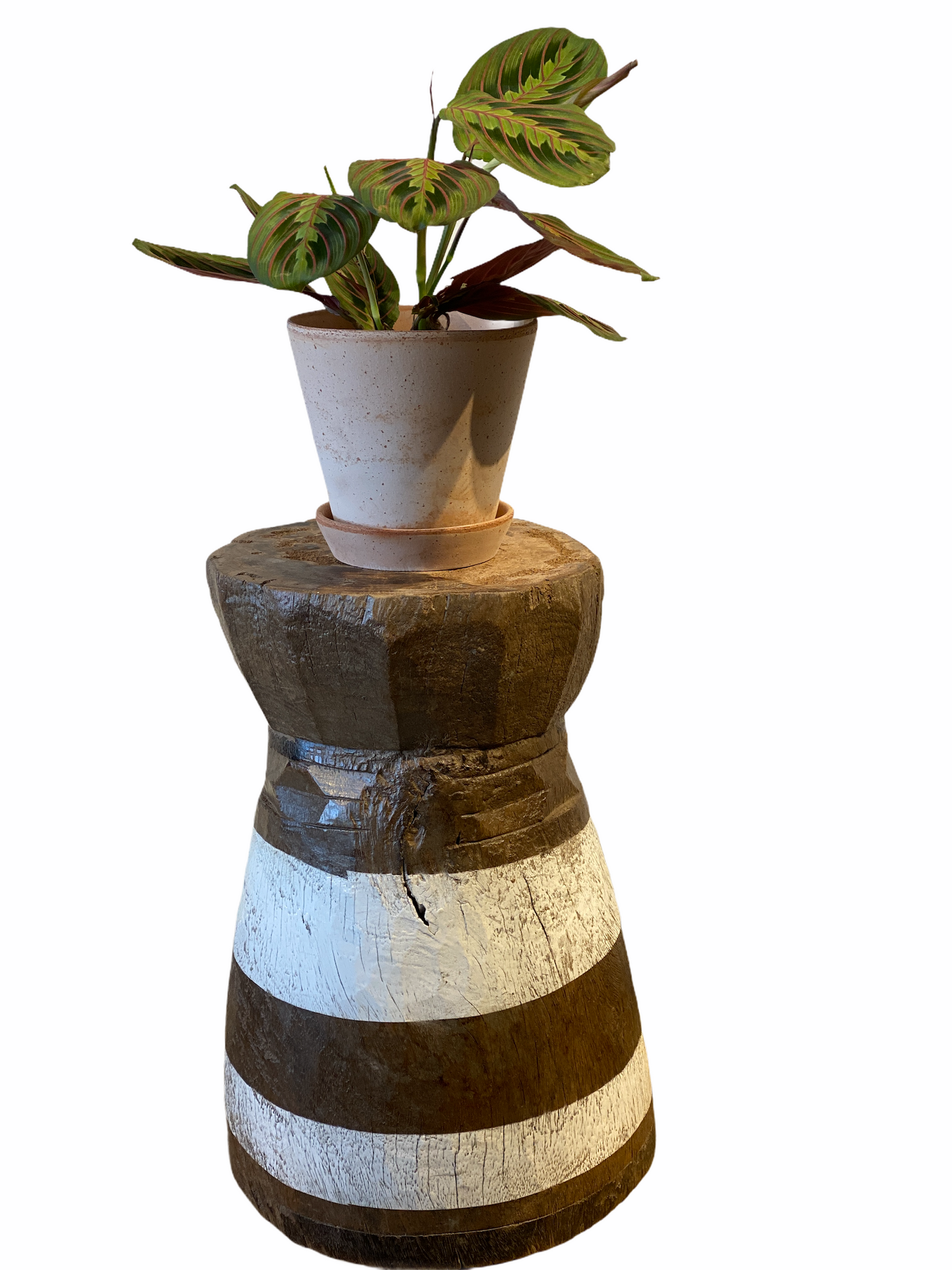 African Grain Stomper